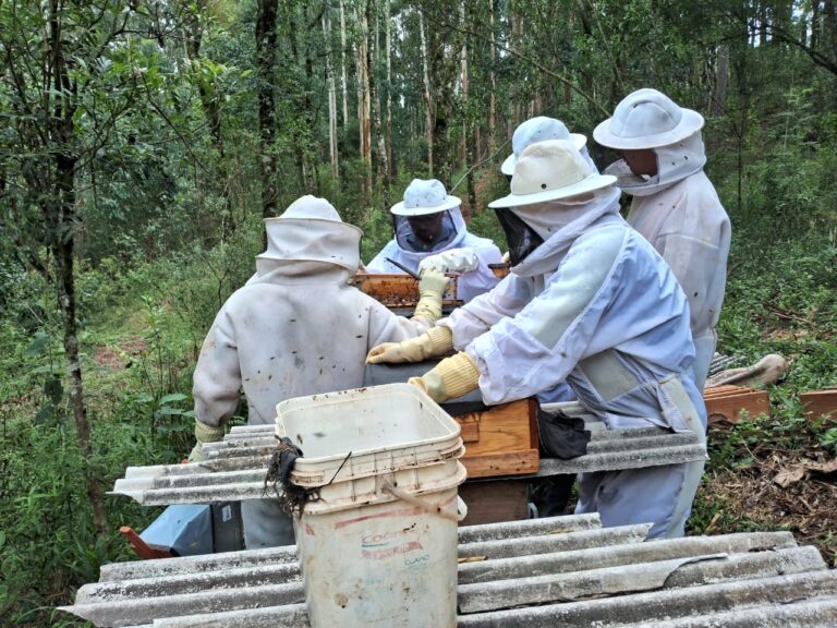 Porto Vitória promoveu curso de apicultura em parceria com o SENAR